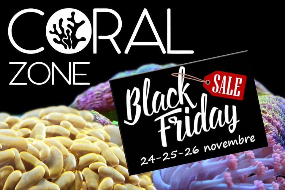 Offerte Coral Zone Black Friday 2023