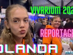 Vivarium 2023 in Olanda: la fiera perfetta fra Aquascaping e coralli
