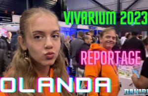 Vivarium 2023 in Olanda: la fiera perfetta fra Aquascaping e coralli