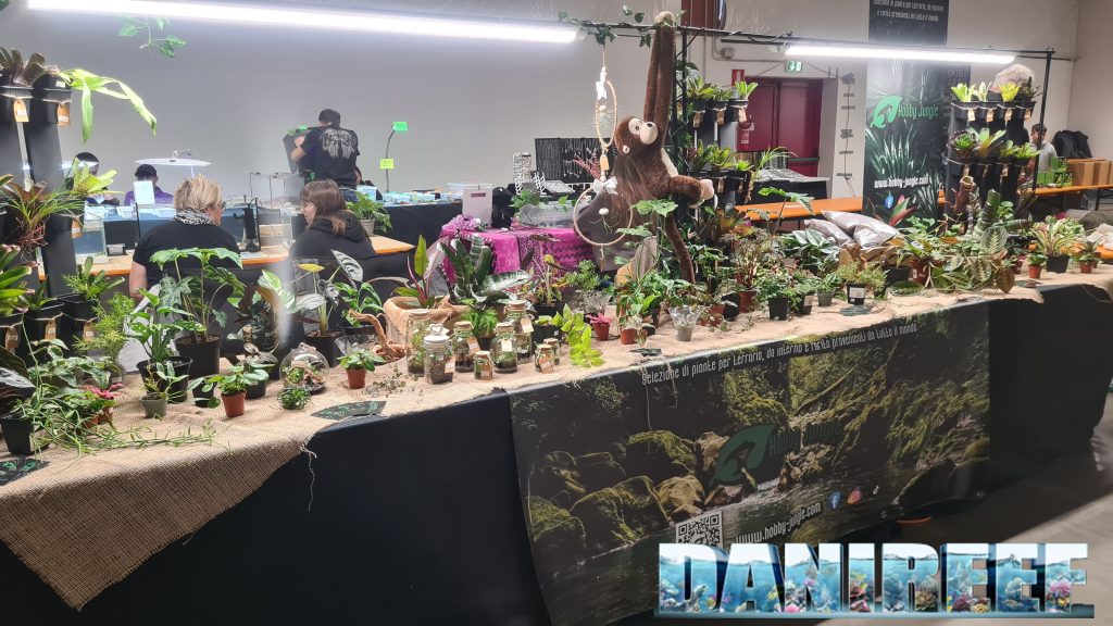 Hobby Jungle a Esotika Pet Show