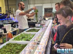 Betta Splendens Italia ad Esotika Pet Show