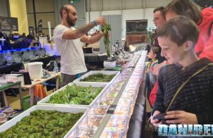 Betta Splendens Italia ad Esotika Pet Show