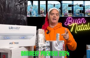 Anticipazioni 2024 e Buone Feste a tutti!!!