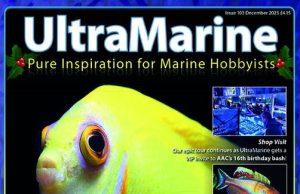 UltraMarine Magazine numero 103 parla del Cloruro di Lantanio