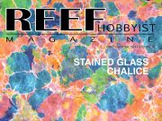 Questo trimestre su Reef Hobbyist Magazine si parla anche di cianobatteri