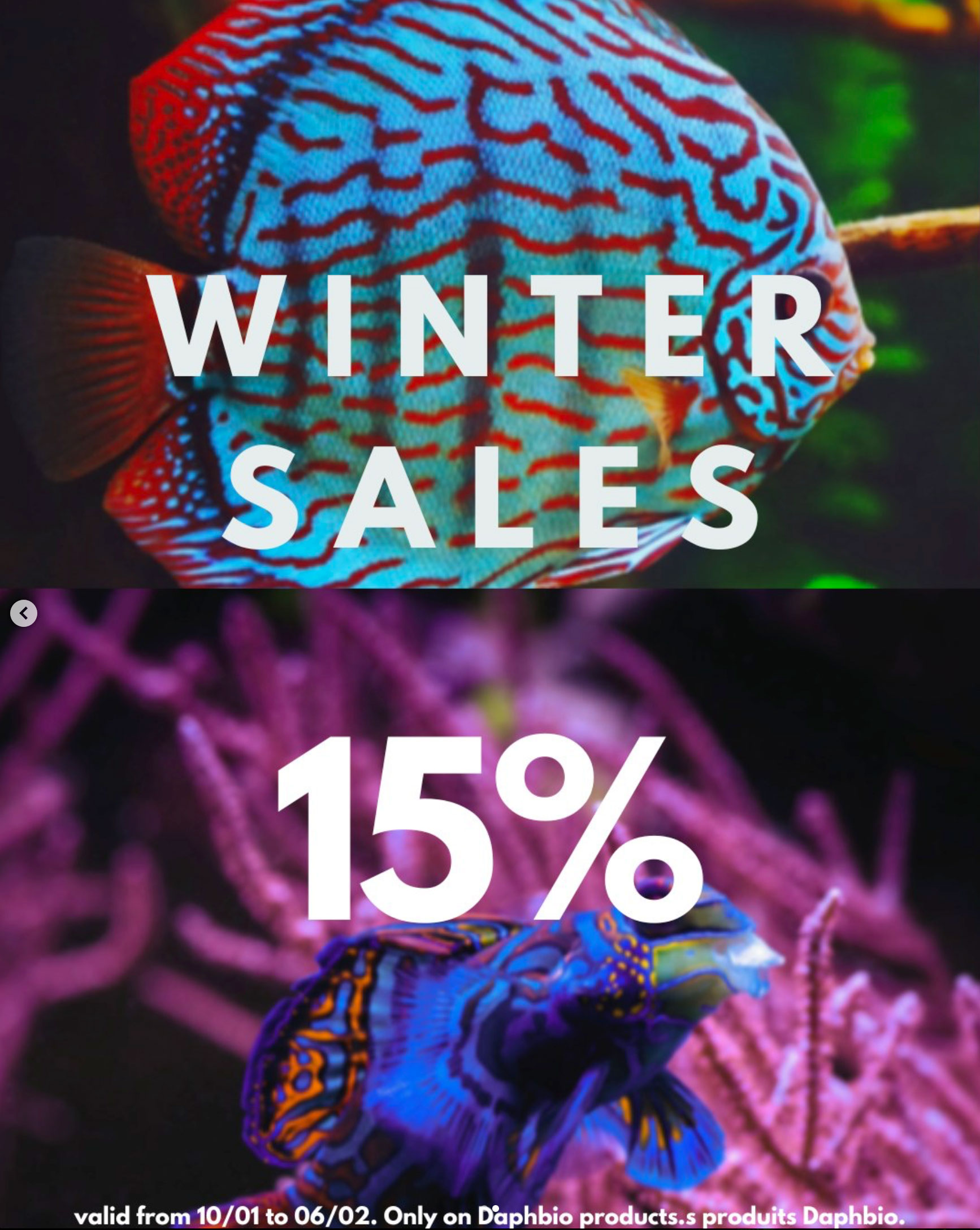 Saldi invernali Daphbio con sconto del 15%