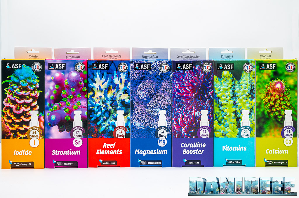 Gamma ASF Reef Shot
