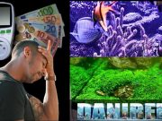 La crisi nel settore dell’acquariologia: nuove direzioni per difendersi