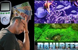 La crisi nel settore dell’acquariologia: nuove direzioni per difendersi