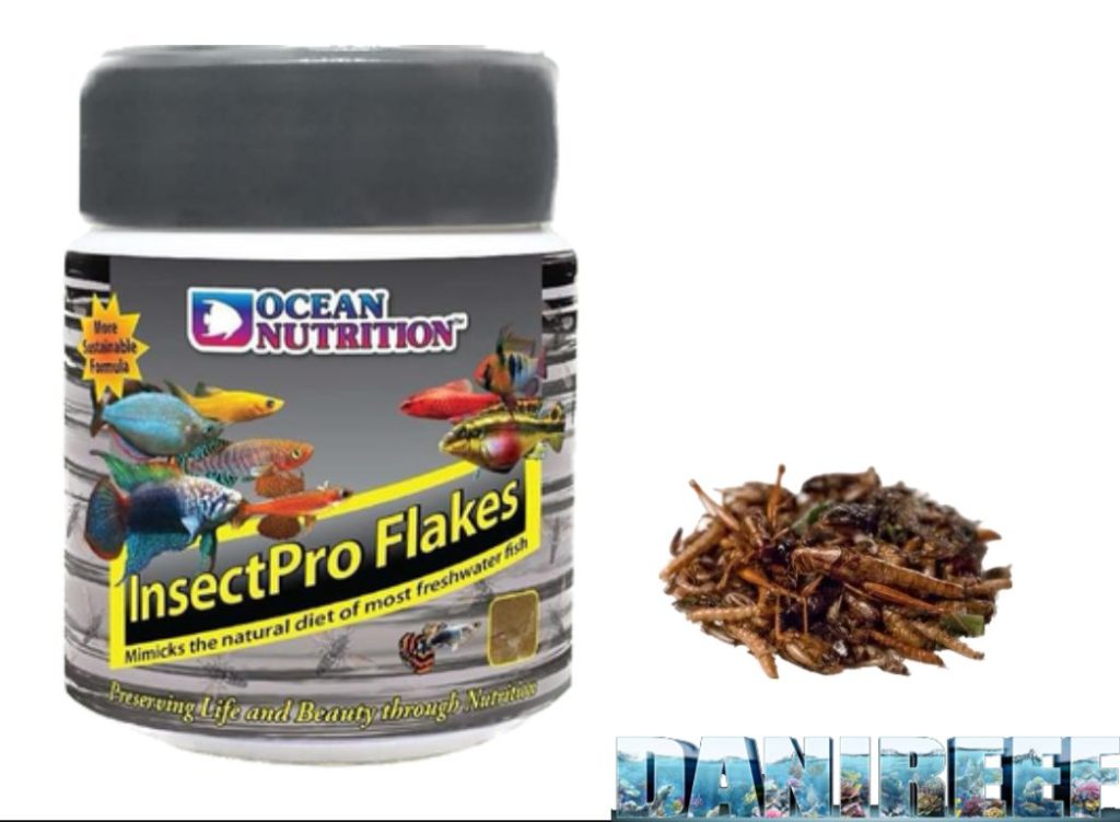 InsectPro: Ocean Nutrition lancia il nuovo mangime per i pesci