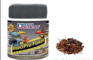 InsectPro: Ocean Nutrition lancia il nuovo mangime per i pesci Alimentazione