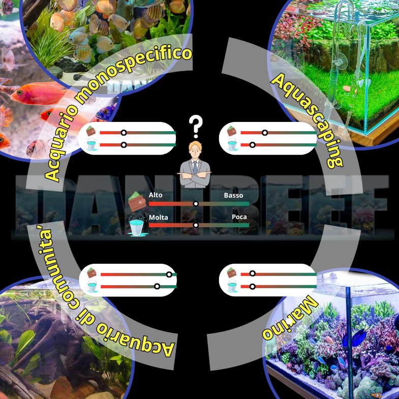 Scegliere il Tipo di Acquario:
