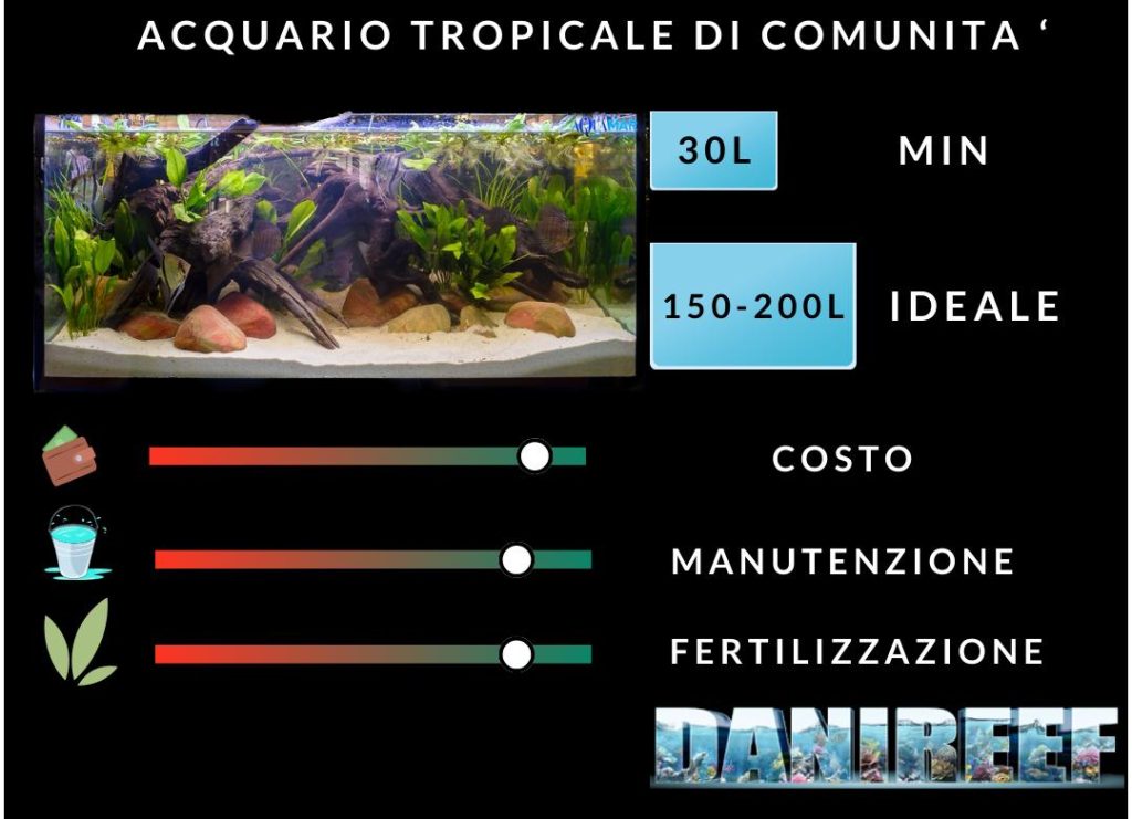 Acquario