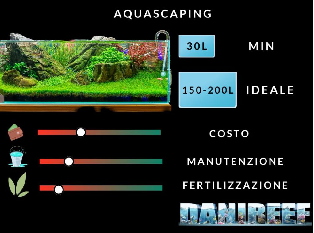 Acquario