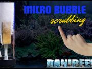 Micro Bubble Scrubbing: Per un Acquario Marino Perfetto? micro bubble scrubbing