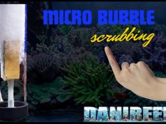 Micro Bubble Scrubbing: Per un Acquario Marino Perfetto? micro bubble scrubbing