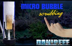 Micro Bubble Scrubbing: Per un Acquario Marino Perfetto? micro bubble scrubbing