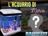 La maturazione dell’acquario come lezione di vita: il viaggio di Marco Acquariofilia
