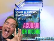 Acquari da incubo – episodio 1 – come ripartire da zero