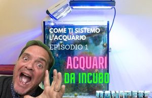 Acquari da incubo – episodio 1 – come ripartire da zero