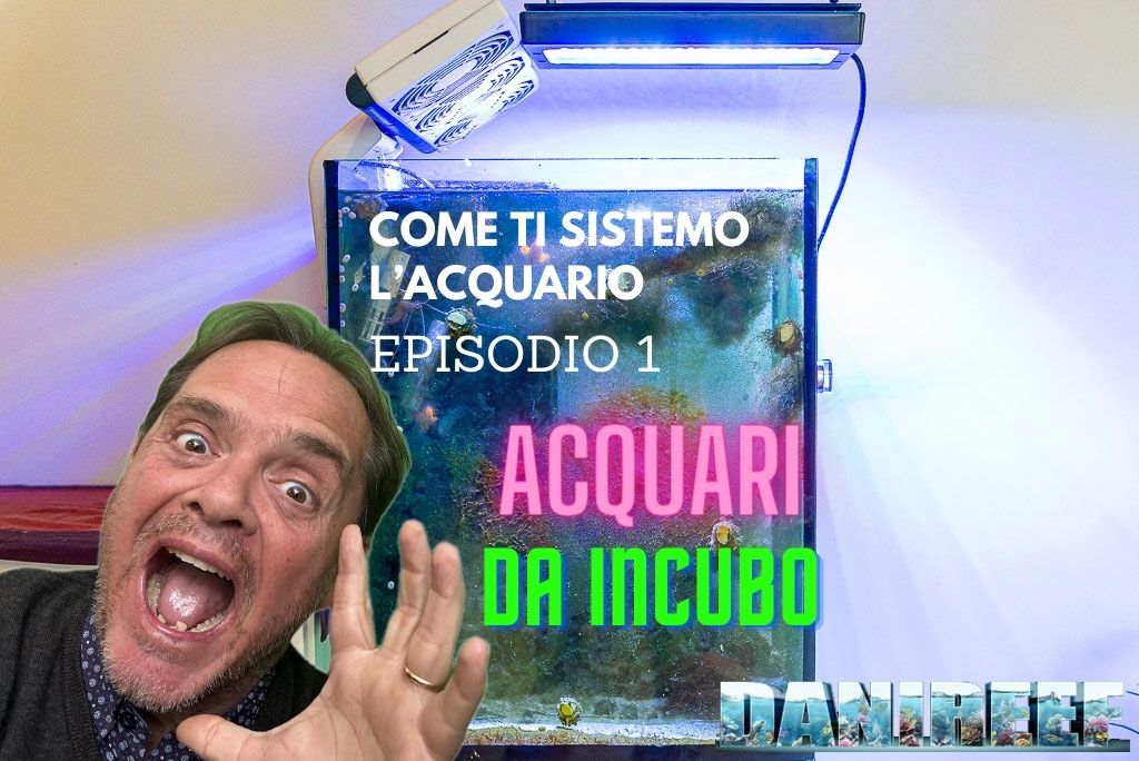 Acquari da incubo - episodio 1 - come ripartire da zero