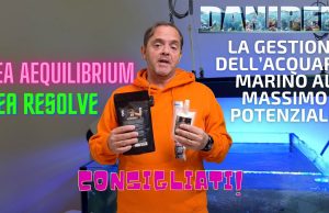 Bea Resolve e Bea Aequilibrium: la gestione dell’acquario marino