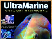UltraMarine Magazine numero 104 è appena uscito, non perdetevelo!