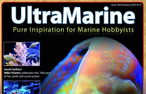 UltraMarine Magazine numero 104 è appena uscito, non perdetevelo!