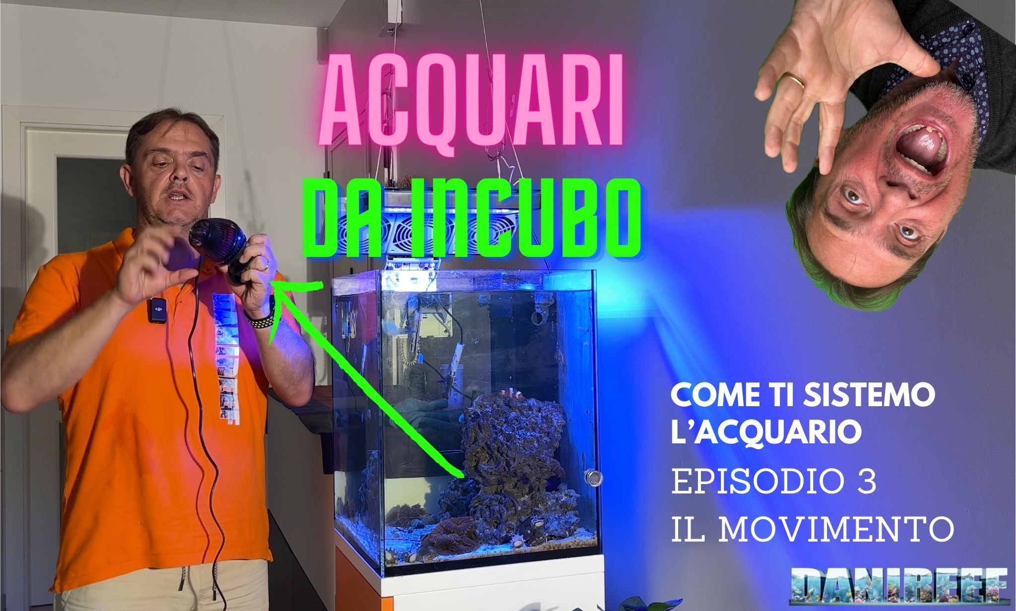 Acquari da incubo - episodio 3 - l'importanza del movimento