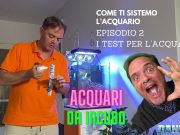 Acquari da incubo – episodio 2 – come e quali test da fare