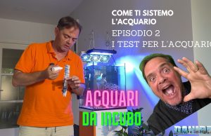 Acquari da incubo – episodio 2 – come e quali test da fare