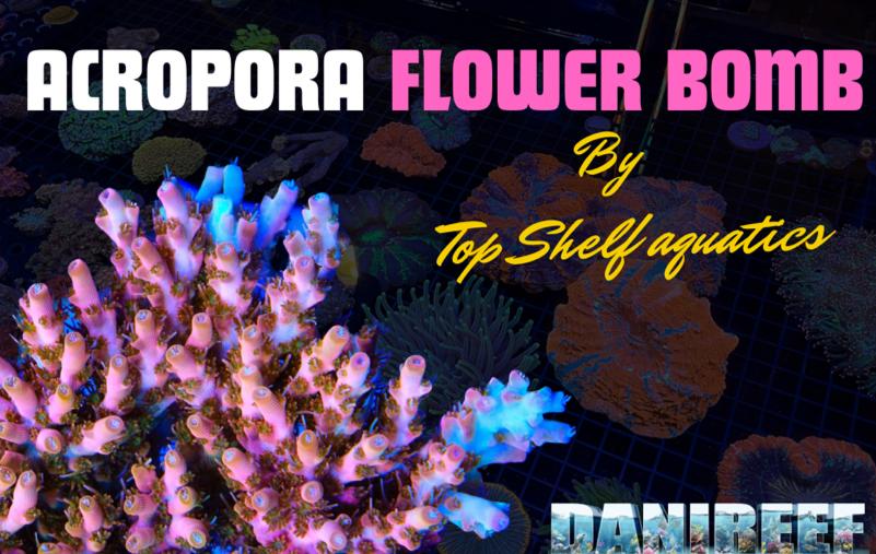 Flower bomb
