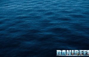 Acquario Marino: vantaggi e svantaggi dell’acqua marina naturale Acquario Marino