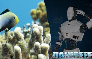 Barriere Coralline: l’innovativo metodo AI per il loro monitoraggio Intelligenza artificiale applicata alle Barriere Coralline