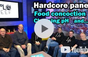 L’evoluzione dell’acquariofilia tecnica con 5 esperti da Polo Reef