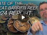 La Grande Barriera Corallina nel 2024: Nuovo Report grande barriera corallina