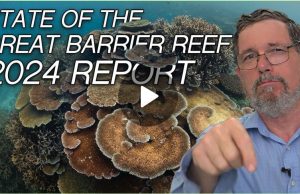 La Grande Barriera Corallina nel 2024: Nuovo Report grande barriera corallina