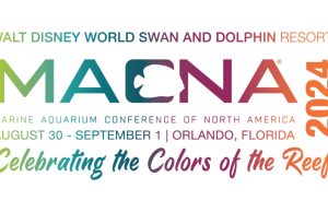 Macna 2024 Orlando – USA