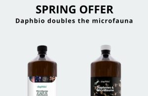 Offerta di Primavera Daphbio: raddoppio delle confezioni comprate