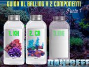 Guida completa al Balling a 2 componenti: Parte 1 Balling