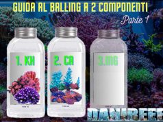 Guida completa al Balling a 2 componenti: Parte 1 Balling