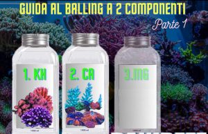 Guida completa al Balling a 2 componenti: Parte 1 Balling