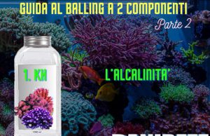 Guida Completa al Balling parte 2 . La componente dell’alcalinità Balling