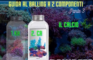 Il calcio nell’acquario marino: guida al balling a 2 componenti parte 3 Calcio in acquario