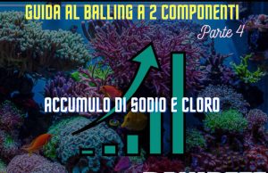 Guida Completa al Balling parte 4: Accumulo di Sodio e Cloro Balling sodio e cloro