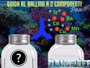 Guida Completa al Balling parte 5: Correzione del bilancio ionico Correzione del bilancio ionico