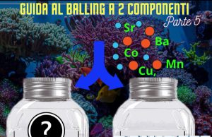 Guida Completa al Balling parte 5: Correzione del bilancio ionico Correzione del bilancio ionico