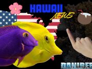 Novità per i Pesci Hawaiani: Una Battaglia per la Sostenibilità Pesci hawaiiani