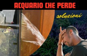 Come riparare un Acquario che perde: la nostra guida Acquario che perde