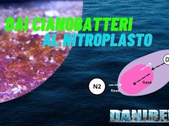 Dai cianobatteri al nitroplasto